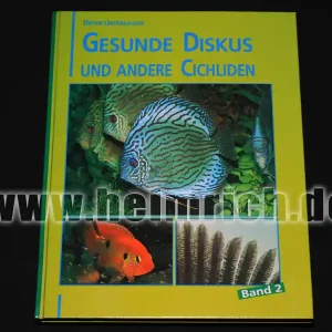 Gesunde Diskus und Großcichliden, Band 2 Markenware