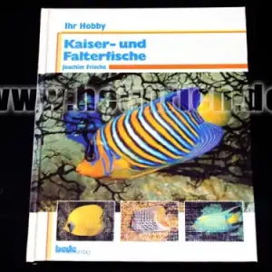Kaiser- und Falterfische Sonderangebot