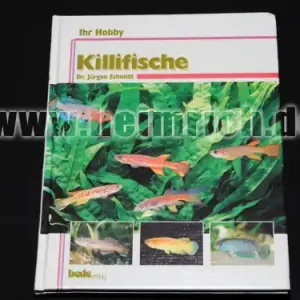 Günstig Killifische