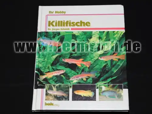 Günstig Killifische