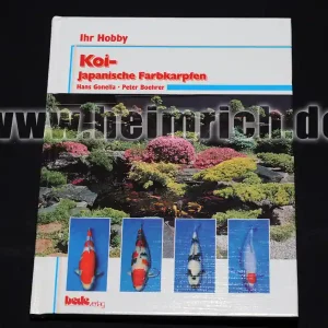 Letzte Chance KOI - japanische Farbkarpfen