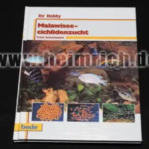 Malawisee-Cichlidenzucht Schnäppchen