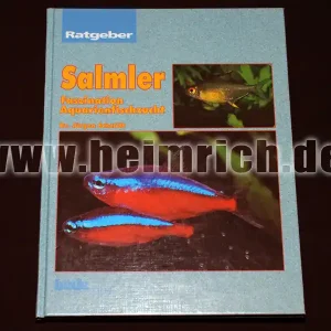 Salmler Preiswert