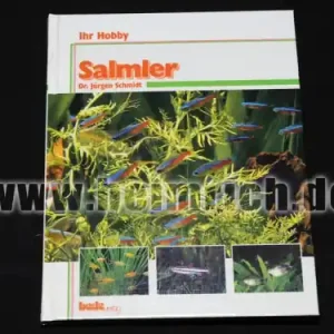 Salmler Letzte Chance