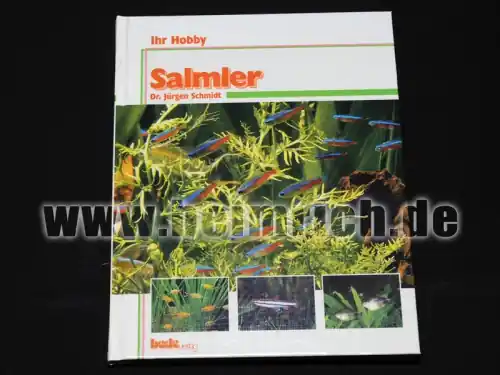Salmler Letzte Chance