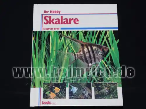 Finale Aktion Skalare