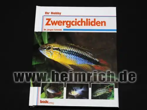 Zwergcichliden Top-Angebot