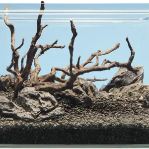Meistverkauft sera Hardscape Shrimp
