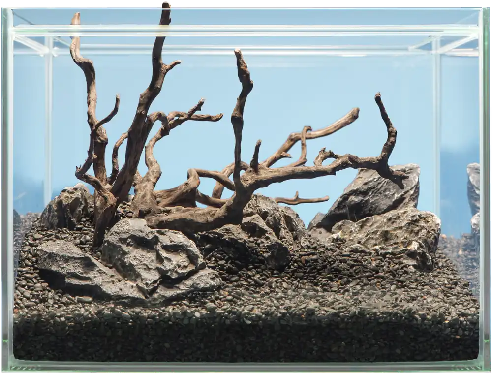 Meistverkauft sera Hardscape Shrimp