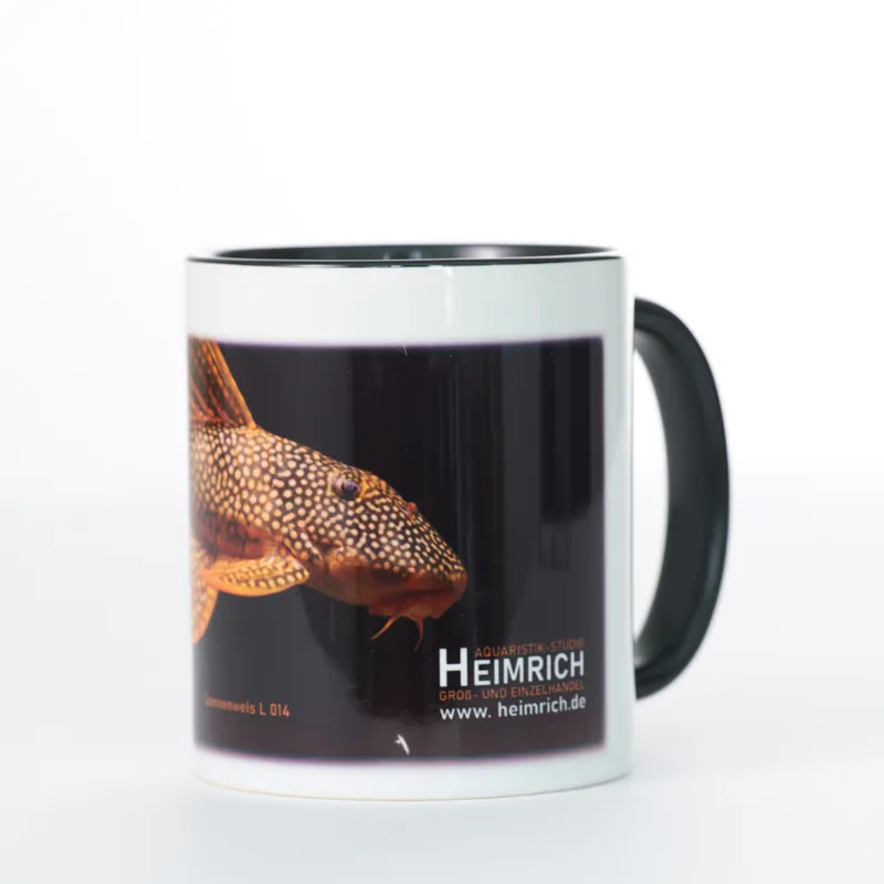Aktuell Foto-Tasse - L14 Sonnenwels (Sunshine Pleco)