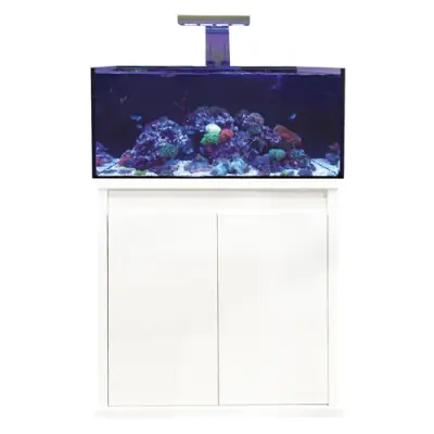 D-D Reef-Pro 900 White Beliebt