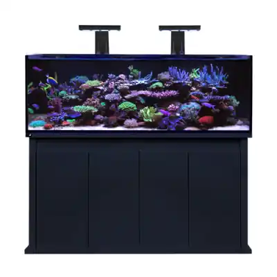 Begrenztes Angebot D-D Reef-Pro 1500 Black