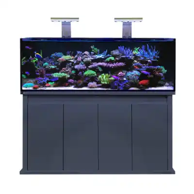 D-D Reef-Pro 1500 Anthracite Letzte Chance