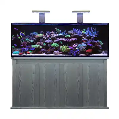 D-D Reef-Pro 1500 Carbon Oak Günstig