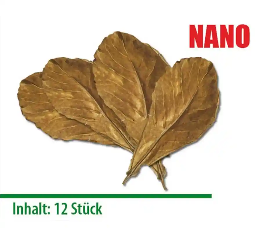 Schnäppchen Seemandelbaumblätter Nano 12 St.