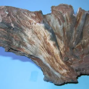 Rabatt Beach Wood Kunststoff-Wurzelstück ca. 24 x 27 x 15 cm