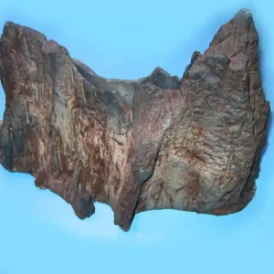 Expressversand Beach Wood Kunststoff-Wurzel ca. 27 x 18 x 13 cm