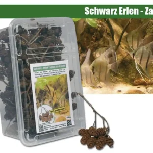 Echt Schwarz-Erlen Zapfen 100 g (Huminsäure)