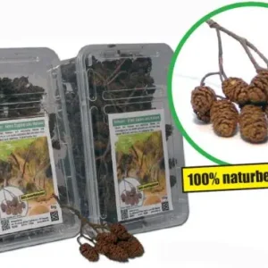 Schwarz-Erlen Zapfen 50 g (Huminsäure) Neue Ware