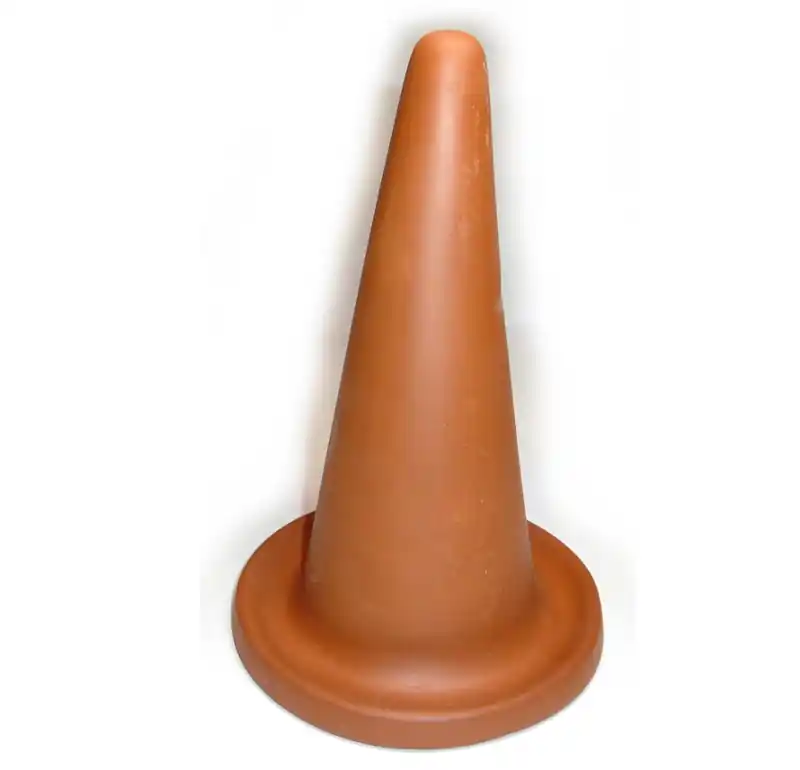 Ablaichkegel für Diskus 25 cm Echt