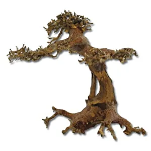 Versand Am Gleichen Tag Unterwasser mini Bonsai S handgefertigter Bonsai