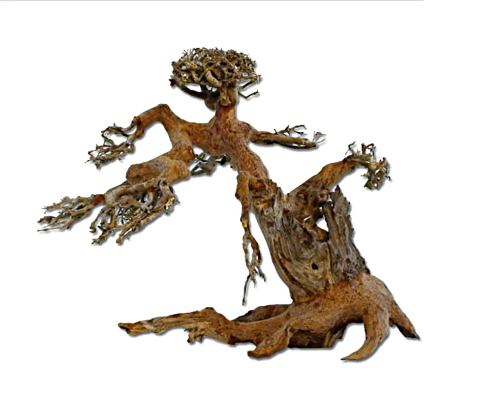 Unterwasser mini Bonsai M handgefertigter Bonsai Jetzt Bestellen