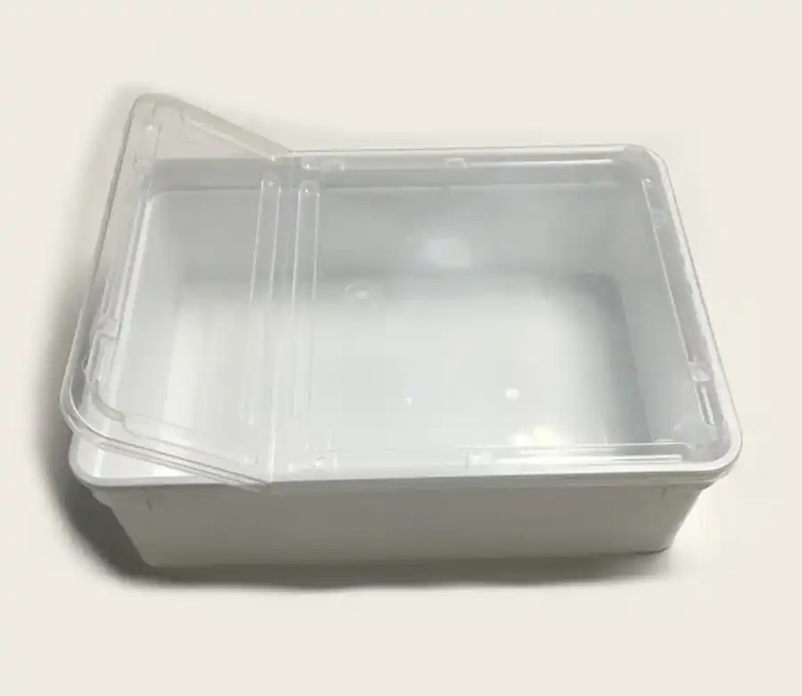 BraPlast TRANSPORTBOX 25 x 19 x 7,5 cm 3 Liter Bestpreis