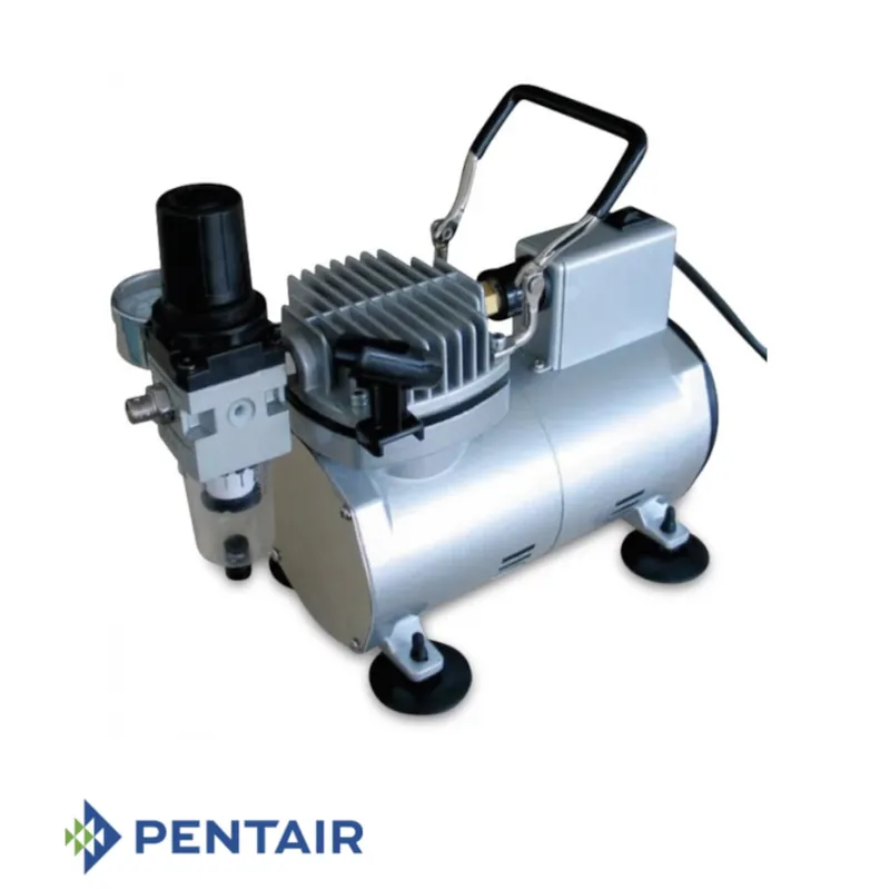 Meistverkauft Pentair Pro Valve Kompressor 230V AC