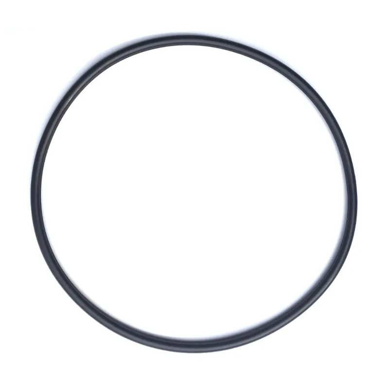 Versand Am Gleichen Tag Oase FiltoClear 5000-31000 O-Dichtring EPDM-S für Behälter
