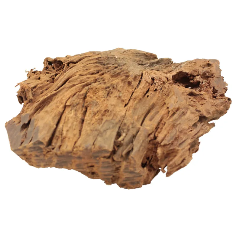 Sonderangebot Mangrovenwurzeln in vielen Größen KLEIN - 10-15 cm