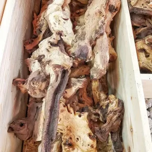 Schnäppchen Mopaniwurzel, Mopaniholz