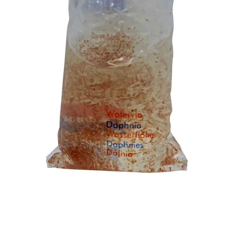 Daphnien - Wasserflöhe lebende 100 ml Versand Am Gleichen Tag