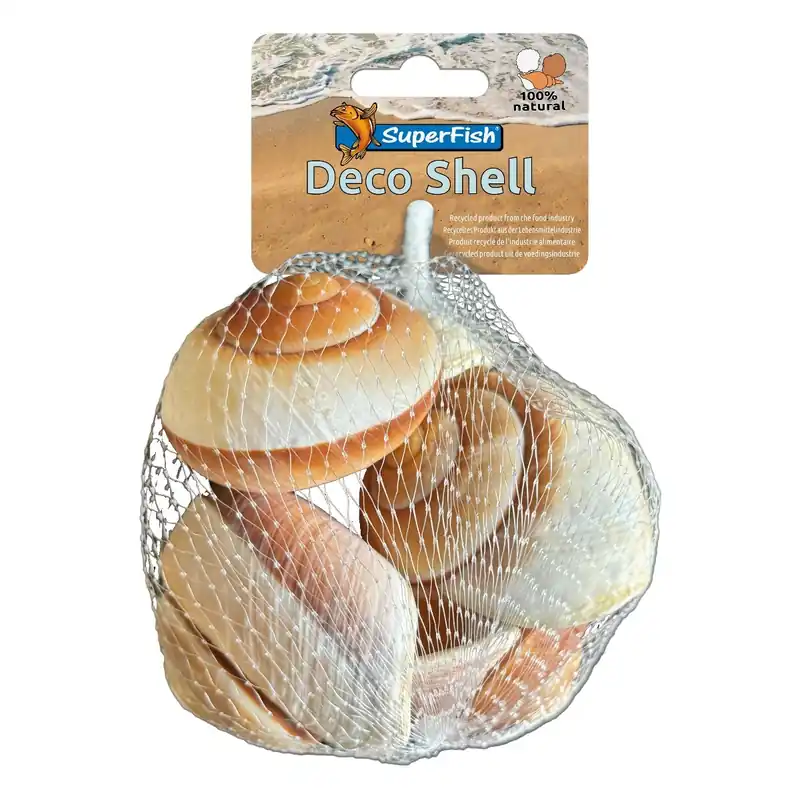 Sonderaktion Muschel Schnecken braun-weiss 170 Gramm