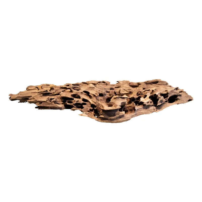 Mangrove mit Wabenstruktur viele Grössen S ca. 31 x 12 x 8 cm Sofort Bestellen