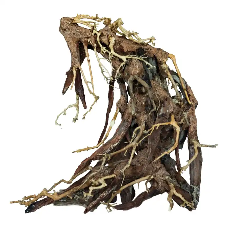 Bonsai Wurzel 12 - 15cm S ca. 21x12x19cm Ausverkauf