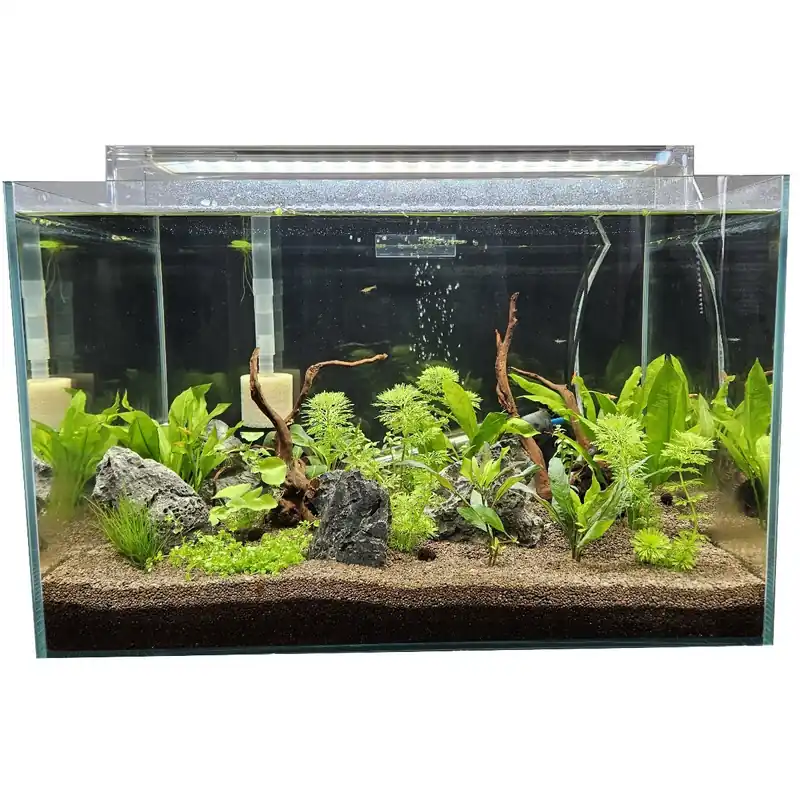 Super-Preis Scaper 90 Aquarium Komplettset mit Biotop Deko