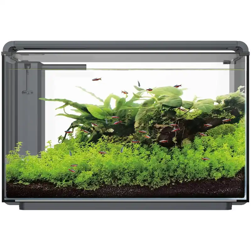 Home ProLED Aquarium Komplettset 25-80 Liter schwarz oder weiss mit Deckel/Scheibe Home ProLED 30 46x25x28cm schwarz Billig