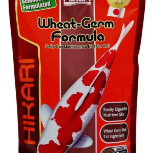 Hikari Wheat-Germ Koi Futter speziell für kalte Monate Mini (Fisch Größe 8-30cm) Neue Ware
