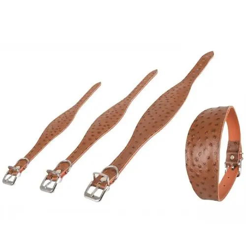 Jetzt Bestellen Karlie Windhund-Halsband Ventus 50cm / Braun