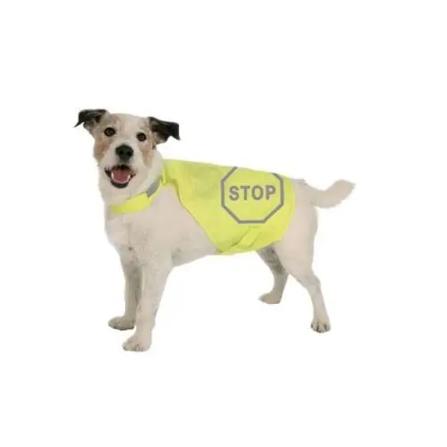 Aktuell Kerbl MAXI SAFE Sicherheitsweste für Hunde, Rückenlänge 25 cm