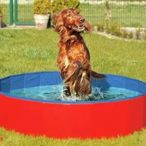 Garantierte Lieferung Karlie DOGGY POOL der Swimmingpool für Hunde - Rot-Blau 80 cm