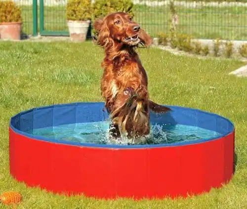 Garantierte Lieferung Karlie DOGGY POOL der Swimmingpool für Hunde - Rot-Blau 80 cm