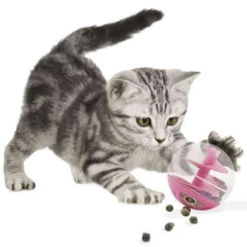 CATIT Snackball für Katzen oder kleine Hunde Rosa Must-Have