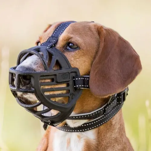 Trixie Maulkorb Muzzle Flex, Gummi S Sale