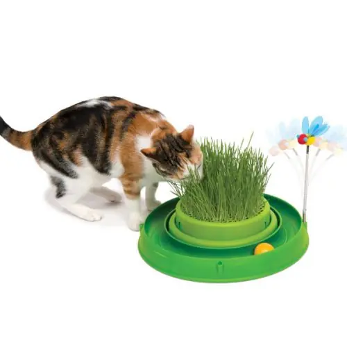 CATIT Play-n-Scratch mit Grasgarten - Grün Meistverkauft