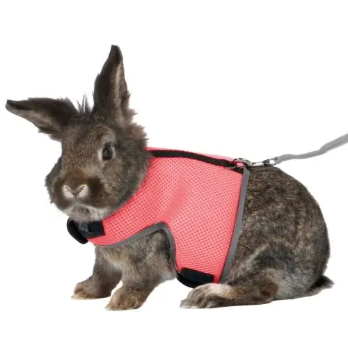 Nur Heute Trixie Softgeschirr für große Kaninchen