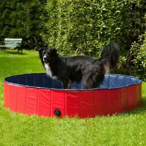 Knallerangebot PROCYON Hundepool - 80 cm
