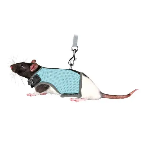 Schnäppchen Trixie Softgeschirr für Ratten