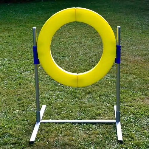PROCYON Dog Agility Profi Sprungring FCI konform Neue Kollektion