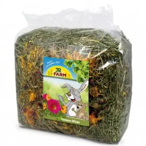JR Farm Heu Sommerwiese 500 g Begrenztes Angebot